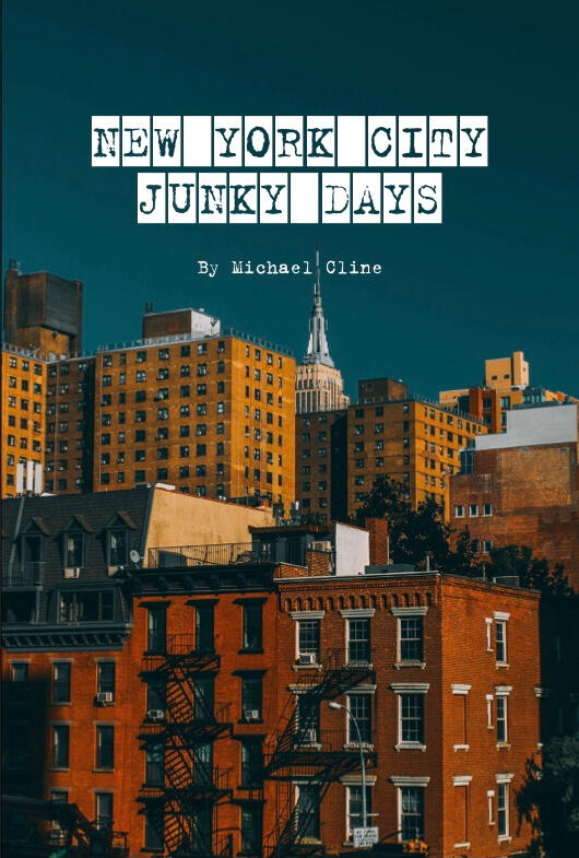 Cover of NEW YORK CITY JUNKY DAYS Cover of NEW YORK CITY JUNKY DAYS which shows some buildings in Manhattan.